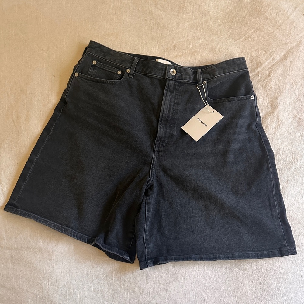 Everlane Long A-Line Short